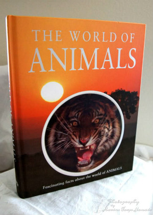 The World of Animals